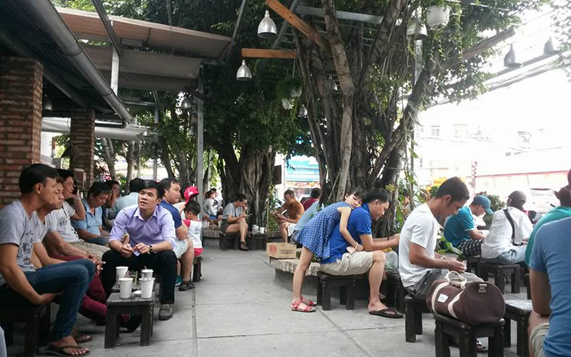 Cây Si - Quán Cafe Phạm Văn Đồng độc đáo